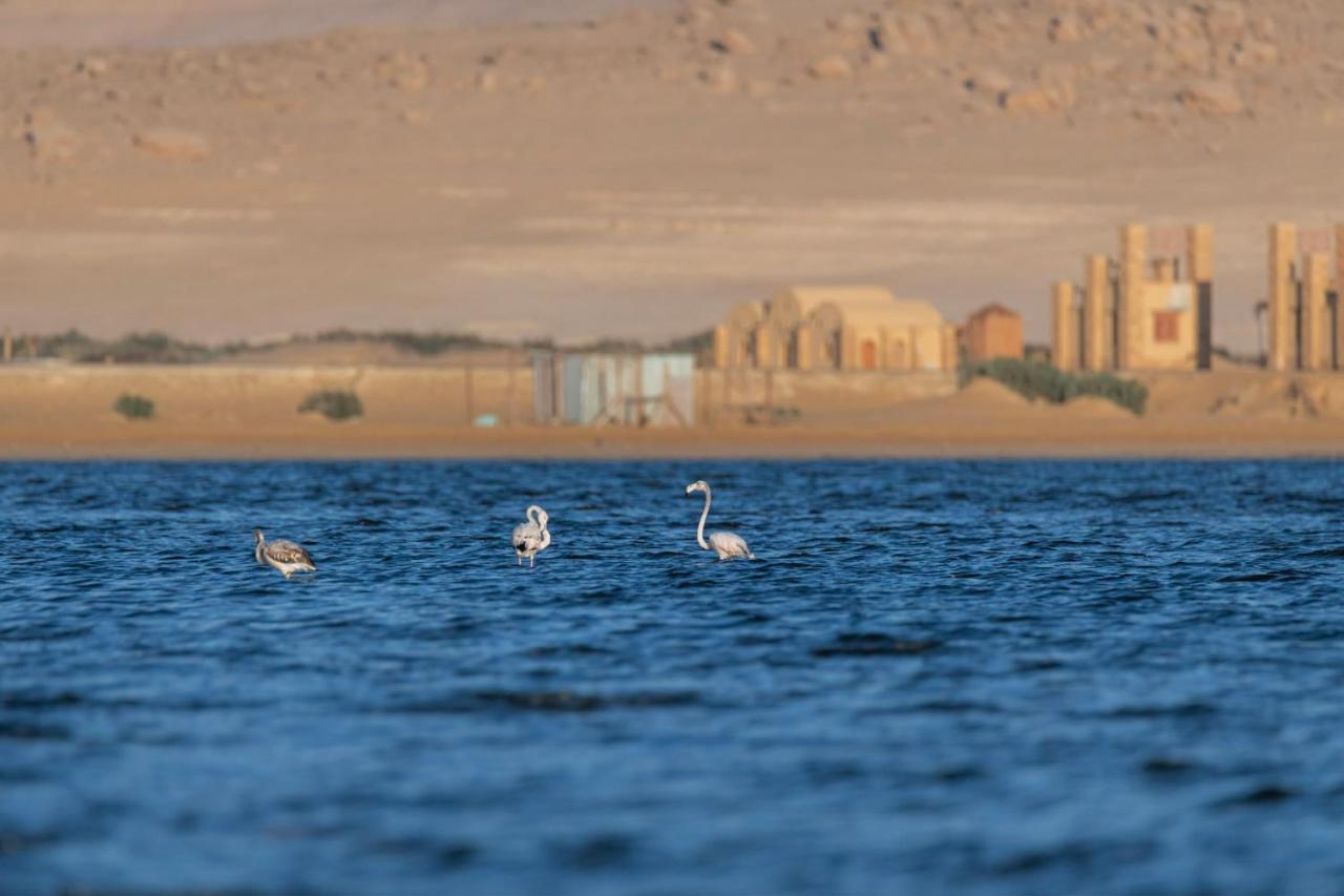 Northern Lake Lodge Izbat Ilyas Dış mekan fotoğraf