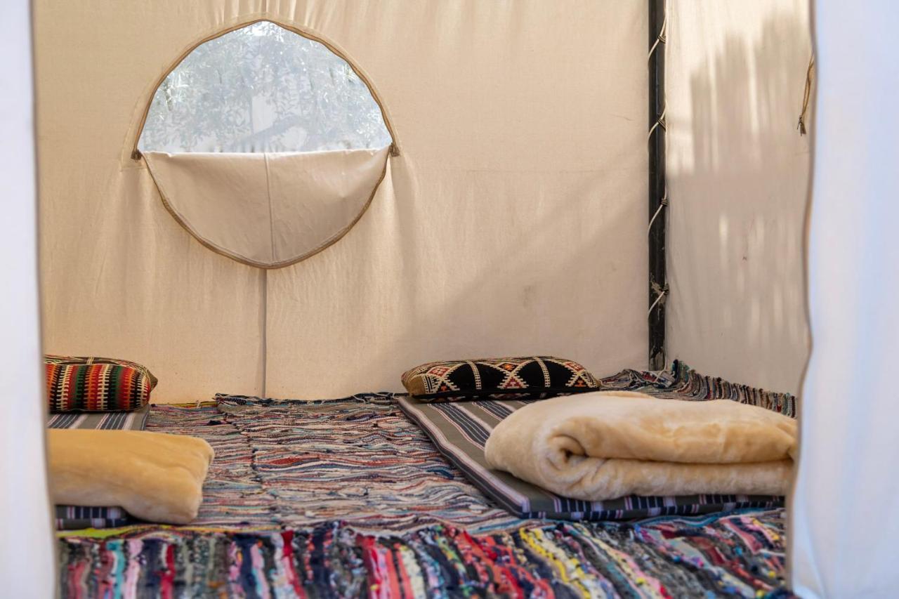 Northern Lake Lodge Izbat Ilyas Dış mekan fotoğraf