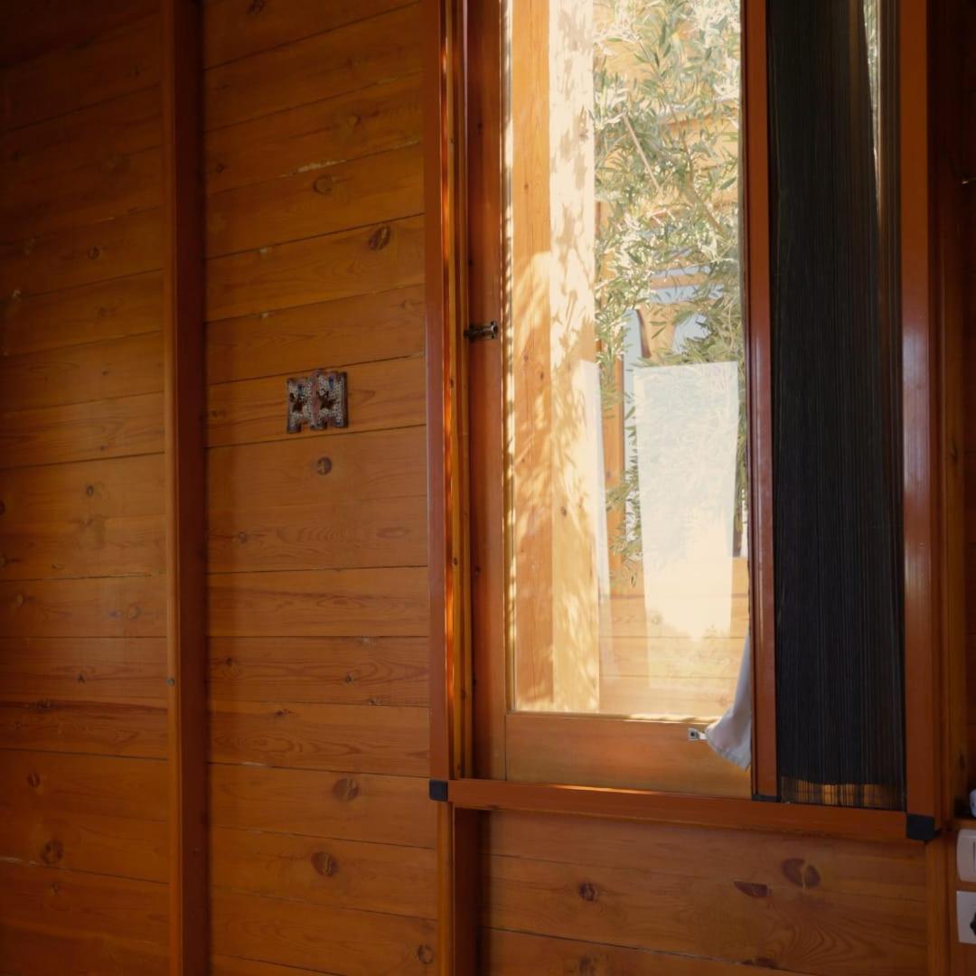 Northern Lake Lodge Izbat Ilyas Dış mekan fotoğraf